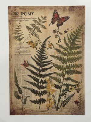 20cm x 14cm - A5 Vintage Woodland Forest Craft Papers