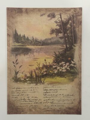20cm x 14cm - A5 Vintage Woodland Forest Craft Papers