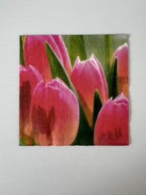 16.5cm x 16.5cm - Tulips Paper Napkin/Serviette