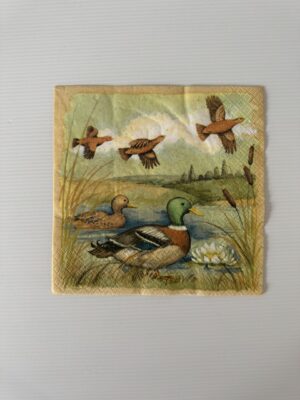 16.5cm x 16.5cm - Ducks Paper Napkin/Serviette