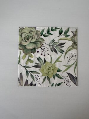 16.5cm x 16.5cm - Succulents Paper Napkin/Serviette