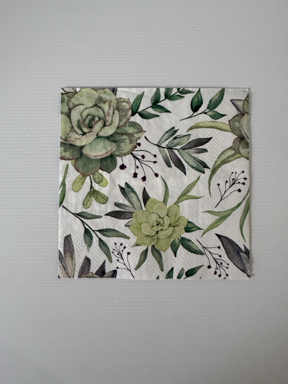 16.5cm x 16.5cm - Succulents Paper Napkin/Serviette