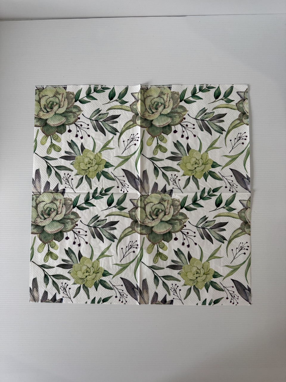 16.5cm x 16.5cm - Succulents Paper Napkin/Serviette - Image 3