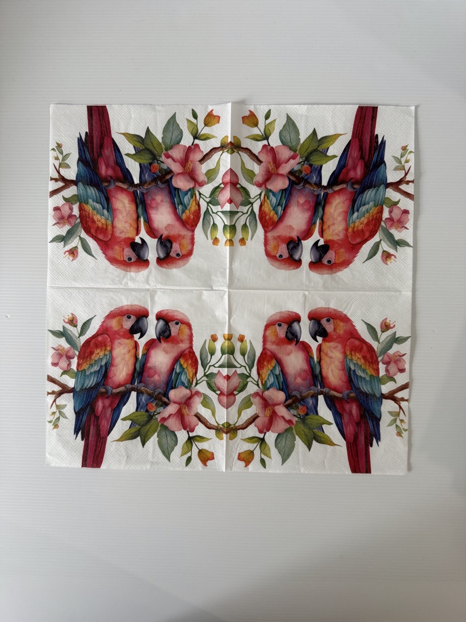 16.5cm x 16.5cm - Parrots Paper Napkin/Serviette - Image 3