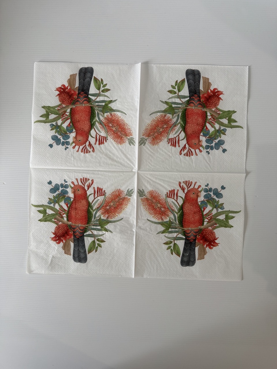16.5cm x 16.5cm - Parrot Paper Napkin/Serviette - Image 3