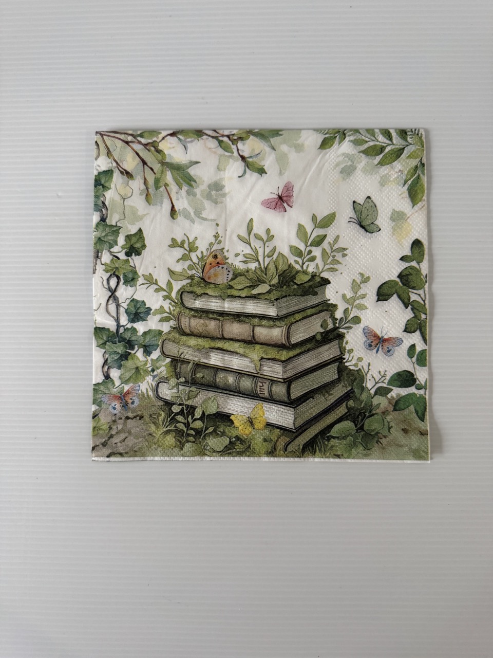 16.5cm x 16.5cm - Books Paper Napkin/Serviette