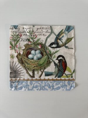 16.5cm x 16.5cm - Bird Nest with Eggs Napkin/Serviette