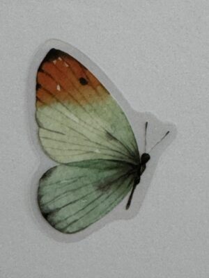 4cm x 2.5cm - Watercolour Butterfly Stickers