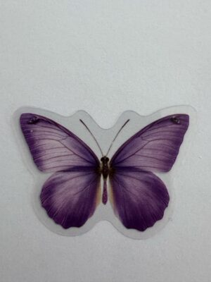 4cm x 3cm - Watercolour Butterfly Stickers