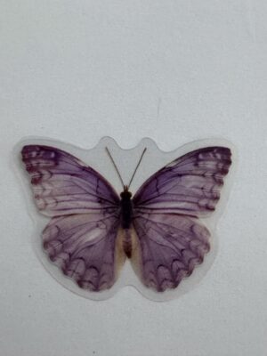 4.5cm 3cm - Watercolour Butterfly Stickers