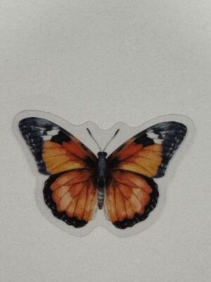 4cm x 3cm - Watercolour Butterfly Stickers
