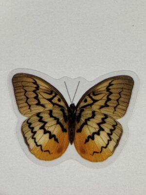 4cm x 3cm - Watercolour Butterfly Stickers