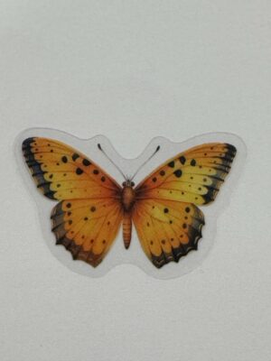 4cm x 2.5cm - Watercolour Butterfly Stickers