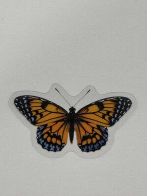 4cm x 2cm - Watercolour Butterfly Stickers