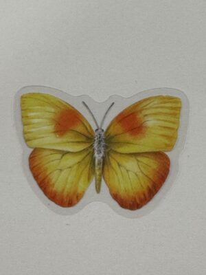4cm x 3cm - Watercolour Butterfly Stickers