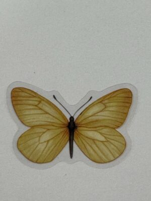 4cm x 2.5cm - Watercolour Butterfly Stickers