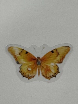 4cm x 2cm - Watercolour Butterfly Stickers