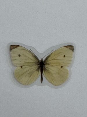 4cm x 2.5cm - Watercolour Butterfly Stickers