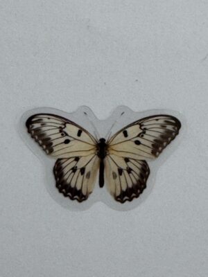 4cm x 2.5cm - Watercolour Butterfly Stickers