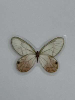 4cm x 3cm - Watercolour Butterfly Stickers