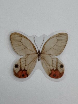 4cm x 3.5cm - Watercolour Butterfly Stickers