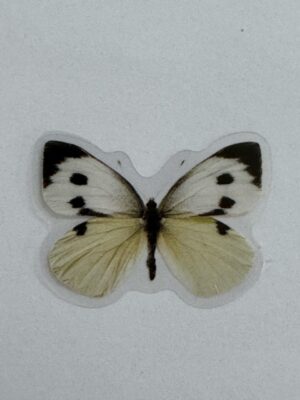 4cm x 3cm - Watercolour Butterfly Stickers
