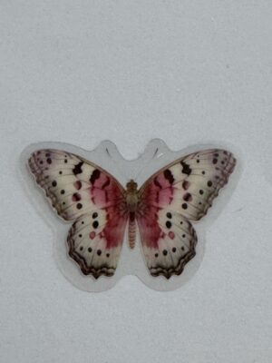 4.5cm x 3cm - Watercolour Butterfly Stickers