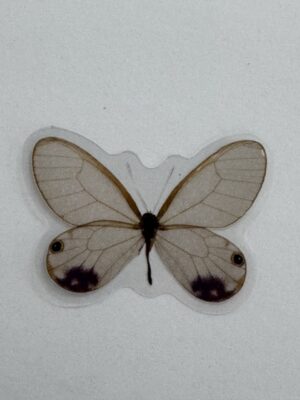 4cm x 3cm - Watercolour Butterfly Stickers