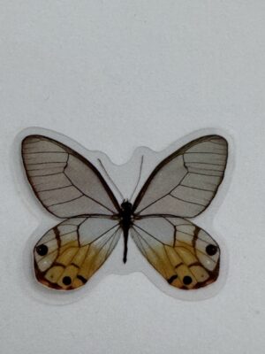 4cm x 3cm - Watercolour Butterfly Stickers