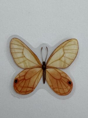 4cm x 3cm - Watercolour Butterfly Stickers