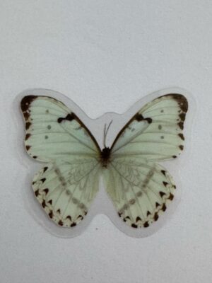 4cm x 3.5cm - Watercolour Butterfly Stickers