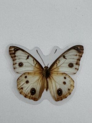 4.5cm x 3.5cm - Watercolour Butterfly Stickers