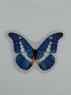 4cm x 3cm - Watercolour Butterfly Stickers
