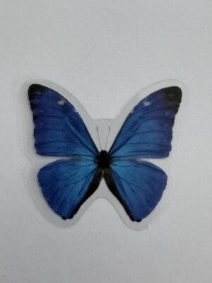 4cm x 3.5cm - Watercolour Butterfly Stickers