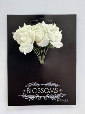 Pk of 6 - White Roses