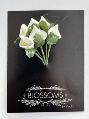 Pk of 6 - White Lillies